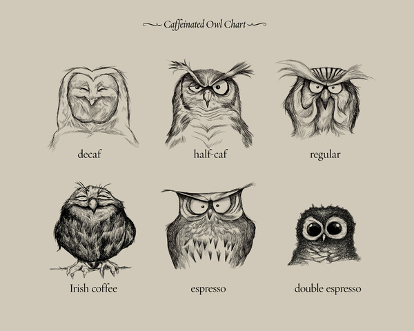 Coffee Owls